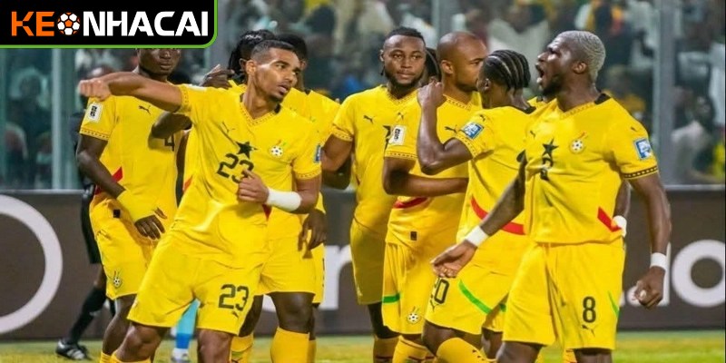 Sự chuẩn bị của Nam Phi cho giải đấu World Cup 2026